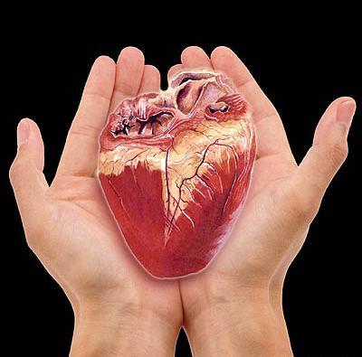 عکس قلب چربی گرفته
