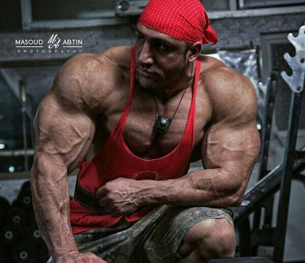 عکس رضا زینت لو