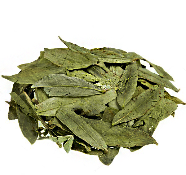 عکس سنا مکی