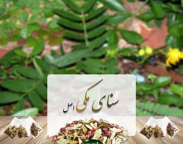 عکس سنا مکی