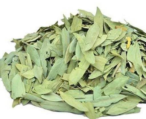 عکس سنا مکی