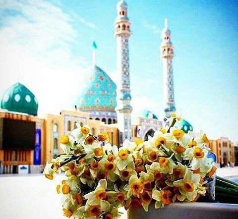 عکس مسجد جمکران با گل نرگس