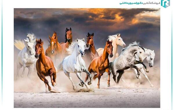 عکس سه بعدی اسب