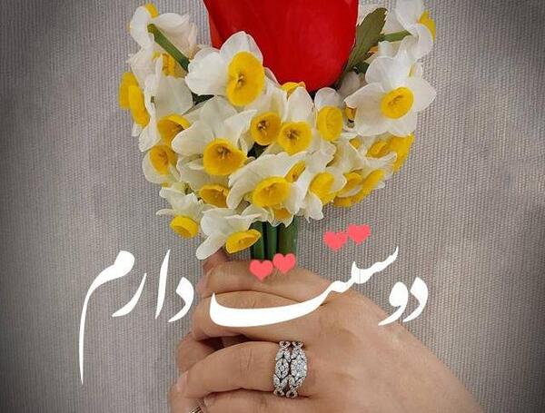 محمدم دوست عکس نوشته حمید دوستت دارم