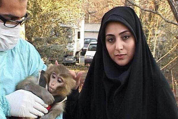 عکس میمون فضایی
