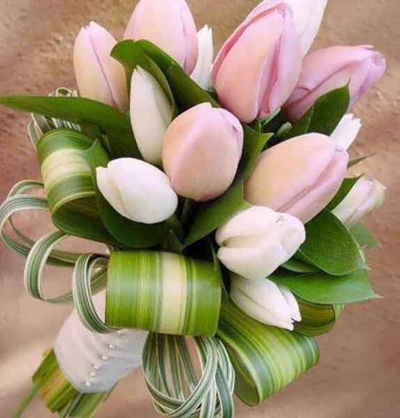 عکس دسته گل لاله عروس