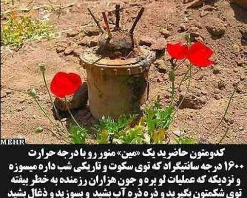 عکس شادی روح شهدا صلوات
