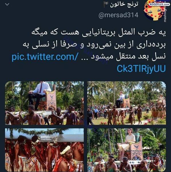 عکس ضرب المثل درخت