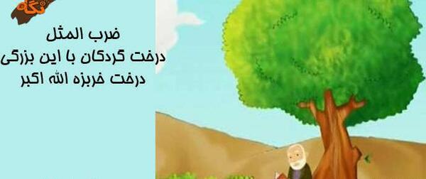 عکس ضرب المثل درخت