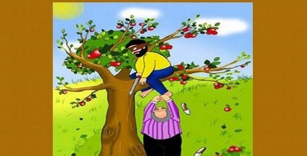 عکس ضرب المثل درخت