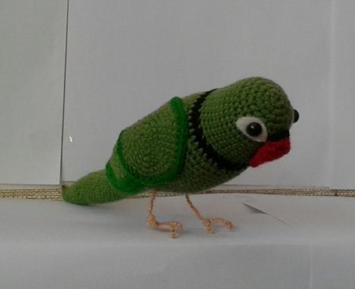 عکس طوطی گگاب