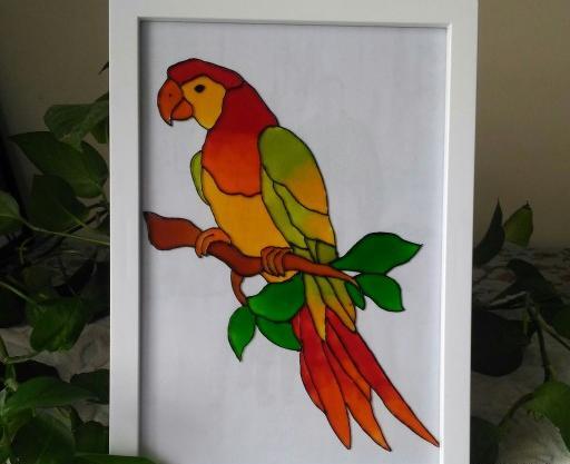 عکس طوطی گگاب