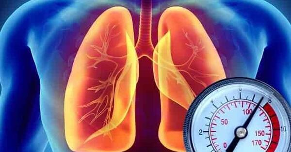 عکس قلب آدمیزاد