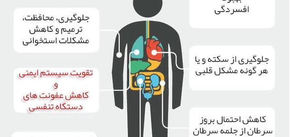 عکس قلب آدمیزاد