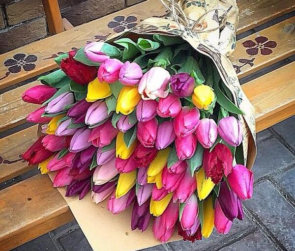 عکس گل های زیبا و شیک