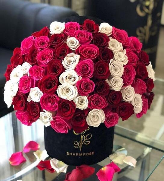 عکس گل های زیبا و شیک