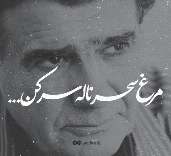 عکس نوشته مرغ سحر ناله سر کن