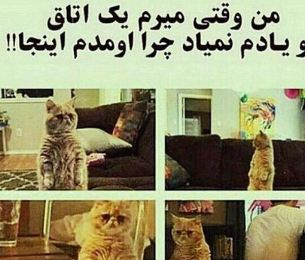 عکس های خنده دار طنز با متن