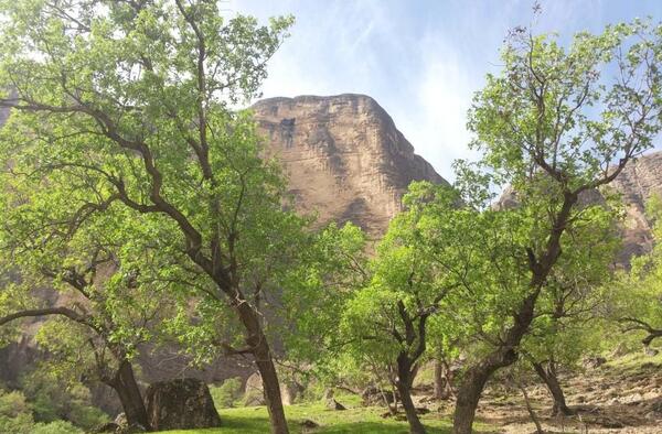 عکس تصاویر طبیعت زیبای خوزستان