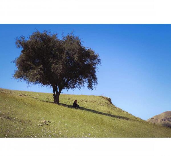 عکس تصاویر طبیعت زیبای خوزستان