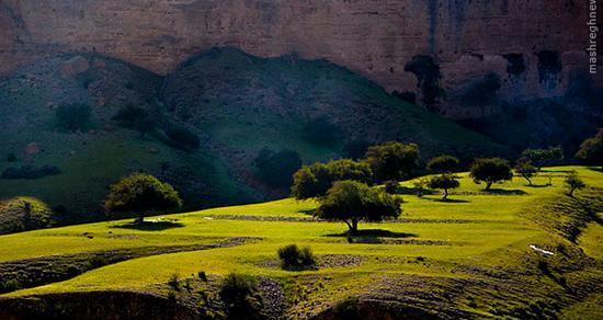 عکس از طبیعت دزفول