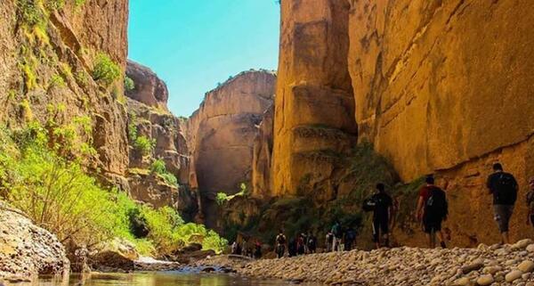 عکس از طبیعت دزفول
