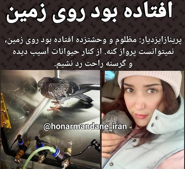 عکس پریناز ایزدیار بدون ارایش