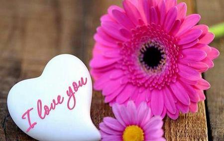 عکس پروفایل گل و قلب عاشقانه