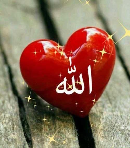 عکس الله متحرک زیبا