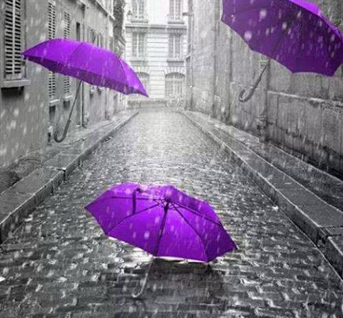 عکس باران چتری