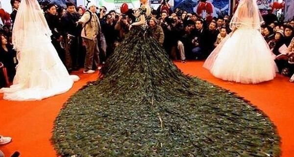 عکس لباس عروس طلا