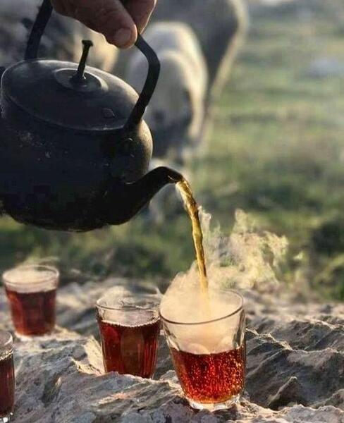 عکس دو فنجان چای در طبیعت