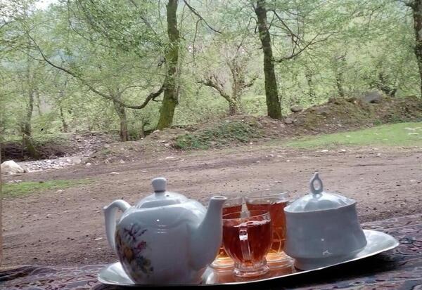 عکس دو فنجان چای در طبیعت