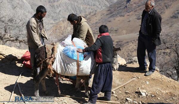 عکس صالح کوتاه