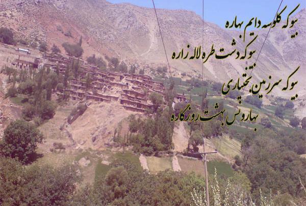 عکس صالح کوتاه