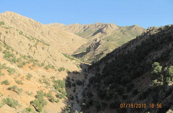 عکس صالح کوتاه