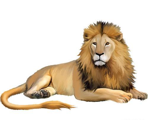 عکس شیر نقاشی