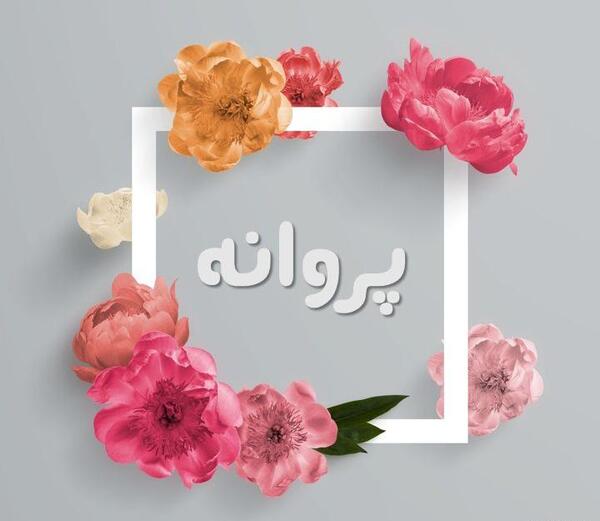 عکس نوشته زیبای اسم پروانه
