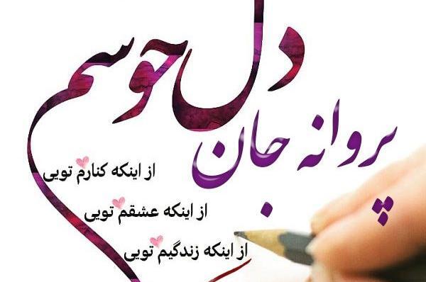 عکس نوشته زیبای اسم پروانه