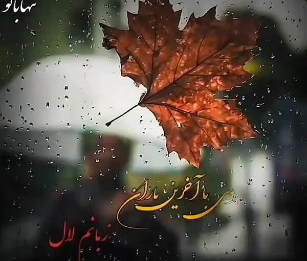 عکس نوشته میگویند میروی با آخرین باران زبانم لال