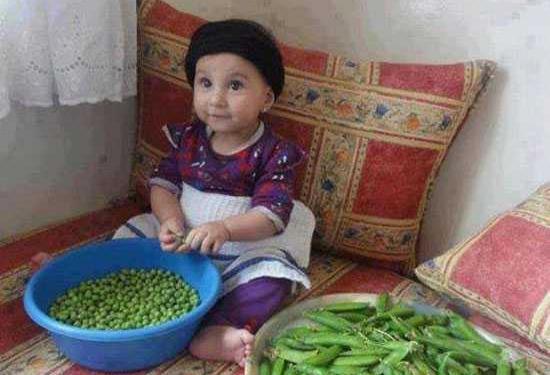 عکس های خنده دار و بی ادبی