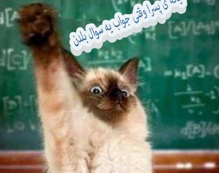 عکس نوشته خنده دار ضد پسر