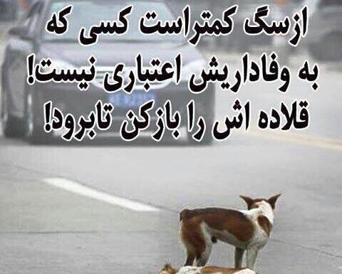 عکس عشقی خیانت