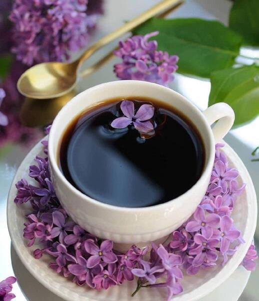 عکس کتاب و گل و چای