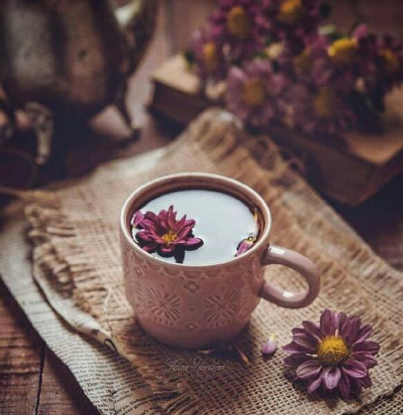 عکس کتاب و گل و چای