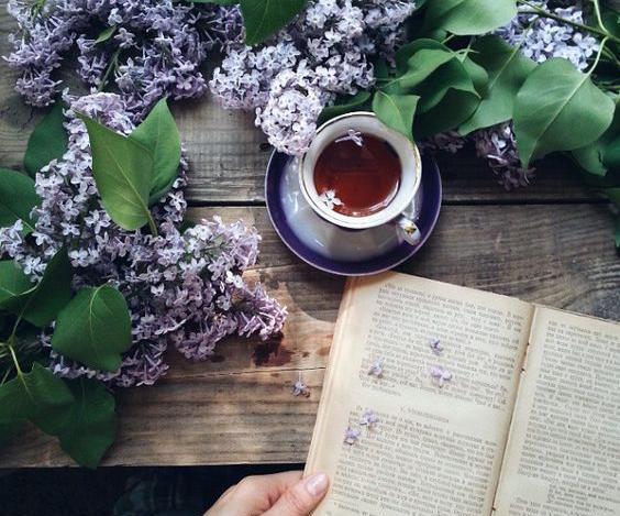 عکس کتاب و گل و چای
