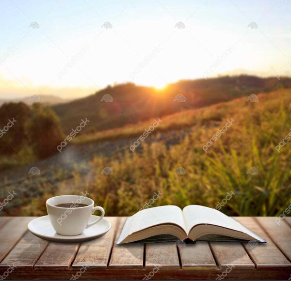 عکس کتاب و گل و چای