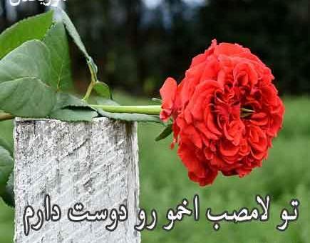 عکس نوشته لامصب دوست دارم