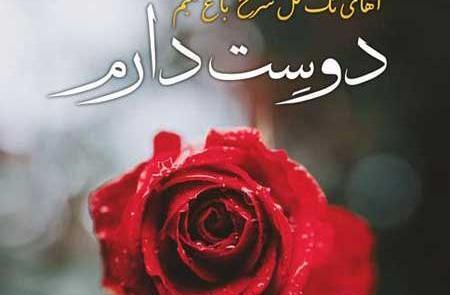 عکس نوشته لامصب دوست دارم