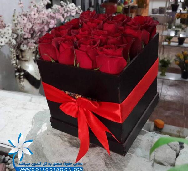 عکس گل رز جعبه ای